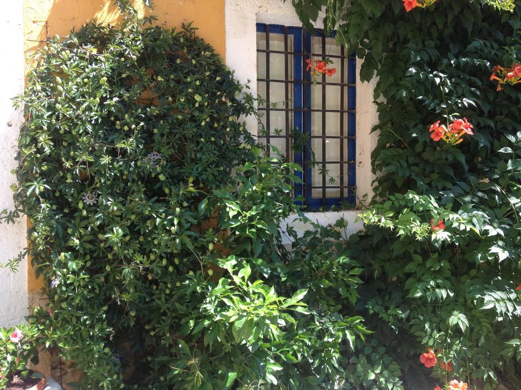 Maspitra B&B Besalu Room photo